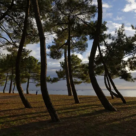 Charmante Maison Rose Pour 4 - 500m De La